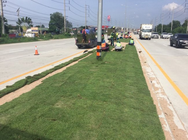 บริการปูหญ้า หากคุณกำลังมองหาทีมงานปูหญ้าสนาม เรายินดีให้บริการ