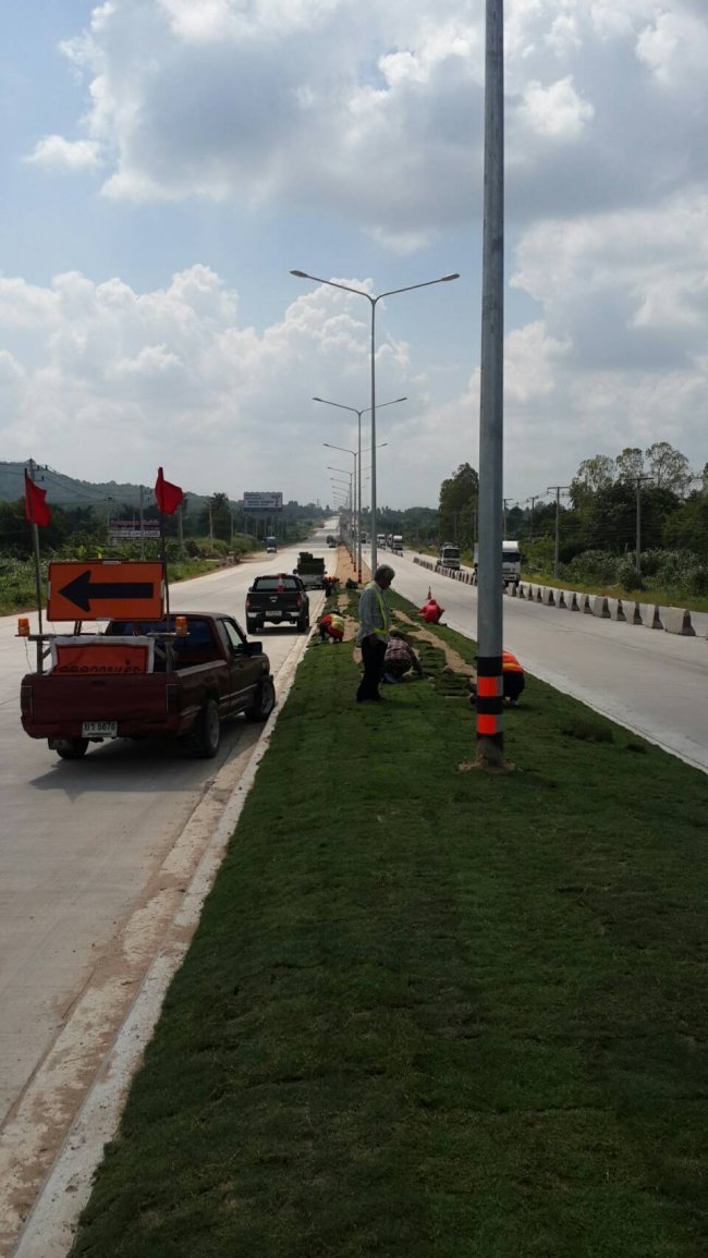 งานปูหญ้า 40,000 ตรม 